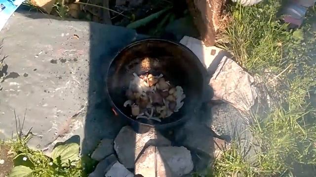 Поющая Сковородка