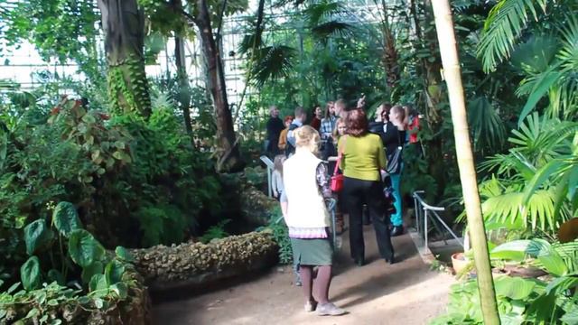 Съемки с квадрокоптера в Ботаническом Саду Петербурга смотреть онлайн