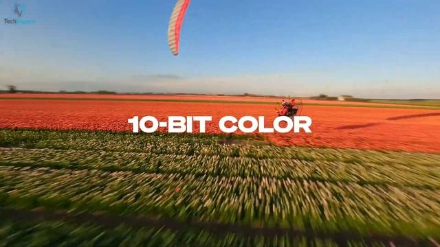 GoPro Hero 11 Black vs Osmo Action 3 - Can DJI Beat GoPro? смотреть онлайн