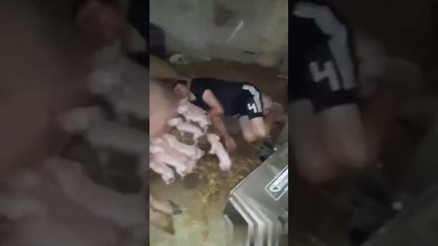 Убойный юмор ? ? ?