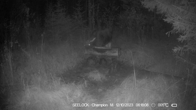 Фотоловушка SEELOCK S308W #3 смотреть онлайн