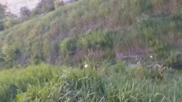 Жириновский и река Днепр. смотреть онлайн