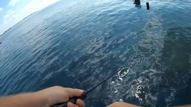 Ловля рыбы спиннингом на пилькер в Крыму смотреть онлайн