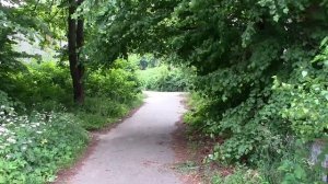 Приморье (Калининградская область)