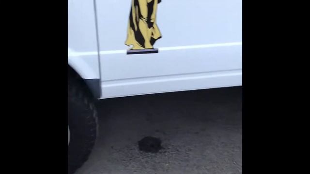 Выставка современных и ретро-автомобилей в Воронеже смотреть онлайн