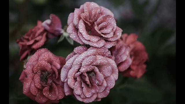 Старинный Обряд на привлекательность.Заговоры Обряды.