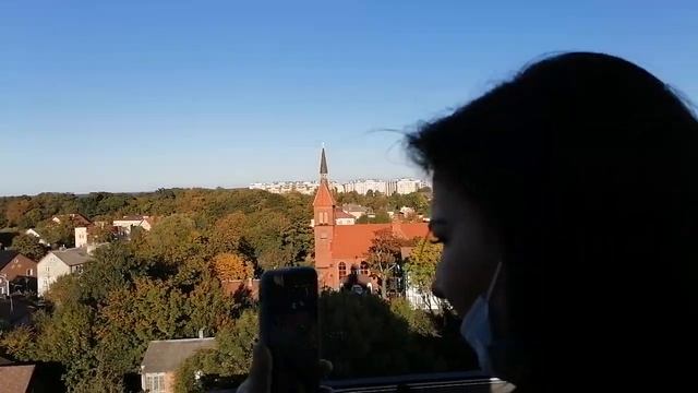 Смотровая площадка в музее котов