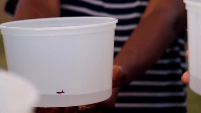 Camp Kogape 2018 (Trailer) смотреть онлайн