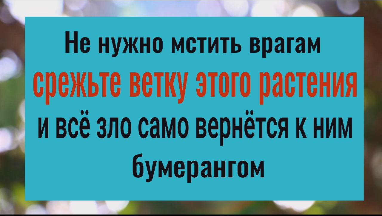 Всё зло вернётся откуда пришло. Срежьте 1 веточку этого растения и больше никто вам не навредит смотреть онлайн