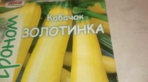 Кабачки кустовые лучшие сорта