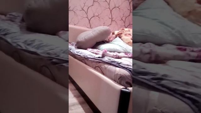 Самая БОЛЬШАЯ горка в мире смотреть онлайн