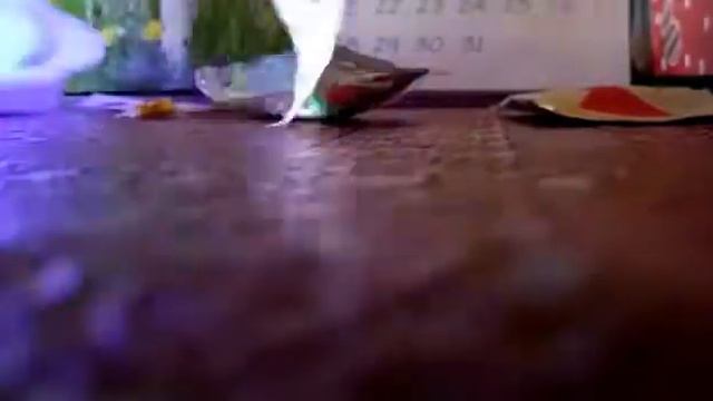Сюрприз киса для Алеси " маленькая сестра" смотреть онлайн