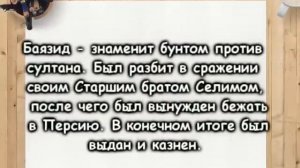 КАКАЯ НА САМОМ ДЕЛЕ СУДЬБА У ДЕТЕЙ ХЮРРЕМ СУЛТАН?ВЕЛИКОЛЕПНЫЙ ВЕК: ШЕХЗАДЕ СЕЛИМ, БАЯЗАИД, МИХРИМАХ