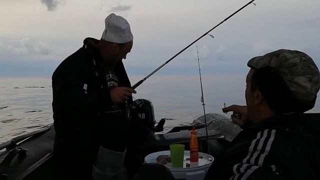 Белое море смотреть онлайн