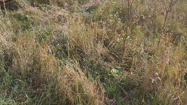 Копаем чермет-новый полевой стан смотреть онлайн