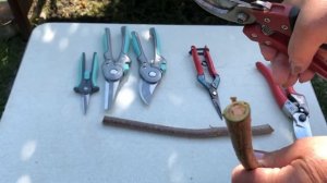 Выбираем секаторы для роз! ARS или Zema?