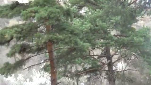 ИНГУШЕТИЯ В ГОРАХ ЛОВЛЯ ФОРЕЛЬ смотреть онлайн