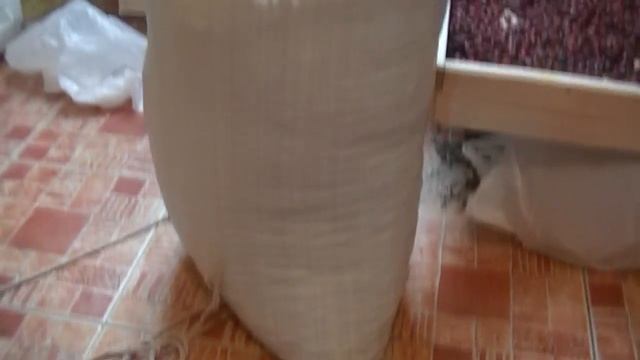 Высушенный шиповник каким он должен быть смотреть онлайн