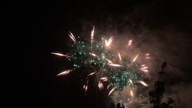 Франция день взятия Бастилии. салюты продолжались 20 минут. Люди рады смотреть онлайн