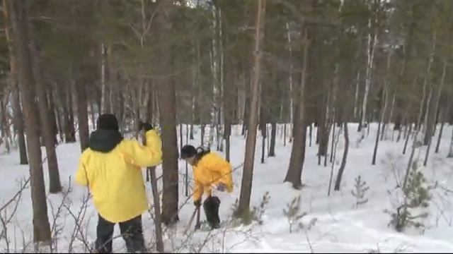трудовой отряд Главы Красноярска на Столбах смотреть онлайн