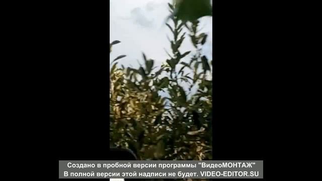 Аэродром Жердевка, 2021г. смотреть онлайн