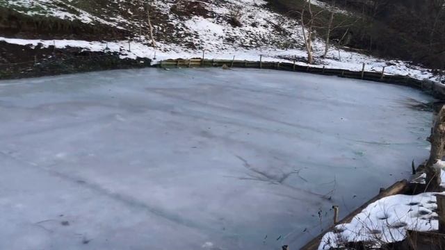 Мой пруд без пленки на дачном участке. Подводим итоги 2019 года. Пруд своими руками. смотреть онлайн