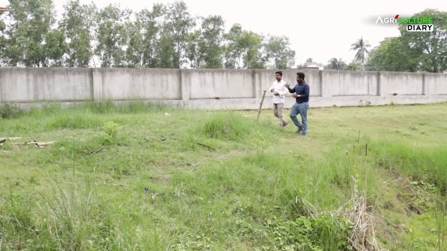 বর্তমানে দেশি মুরগির ফার্ম করে কত টাকা আয়? Desi Murgi Farming | Desi Poultry farming | Local murgi смотреть онлайн