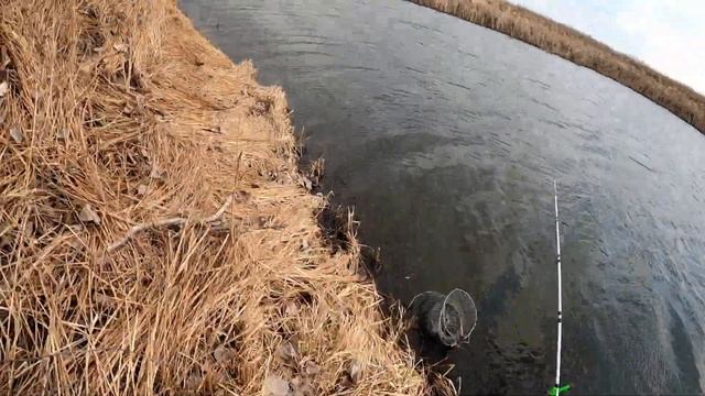 Такого клева давно не было.Карась клюёт,как с пулемета.Рыбалка на озере в апреле.Астрахань 2022 смотреть онлайн