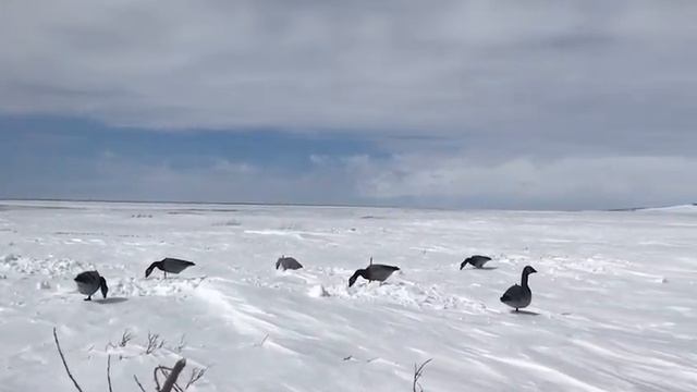 30 минут и уже, трофей! смотреть онлайн