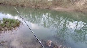 Рыбалка на щуку весной с берега. Рыбачим в Краснодарском крае! Ловим щуку, голавля.