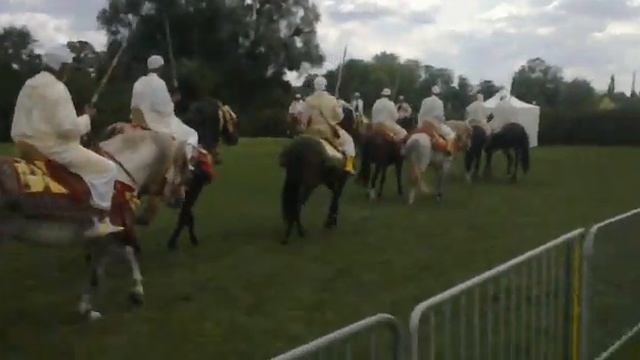 tbourida festival fantasia mantes la jolie смотреть онлайн