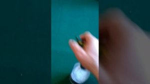 Простой способ избавиться от земляных блох в доме