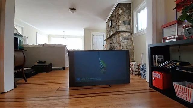 First Look At Our New Supreme 8 ALR DELUXE Gamer Paint Using Only A 720p Projector!