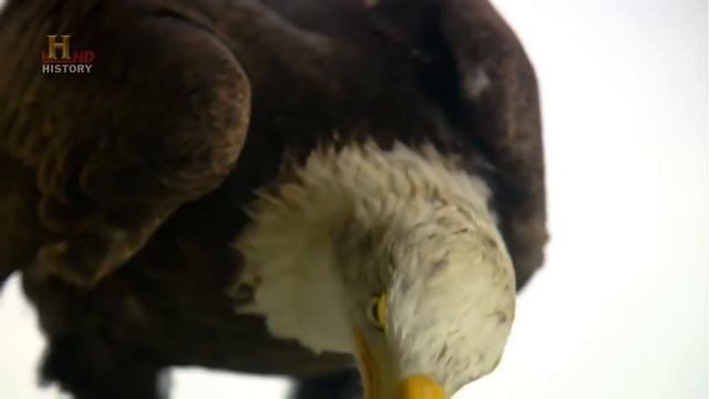 Что такое эволюция | All About смотреть онлайн