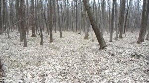 Whites TM 808 Доработка и поиск