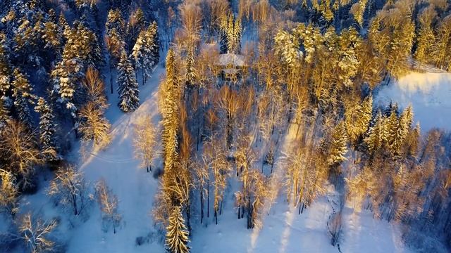 Щелыково 2022 смотреть онлайн