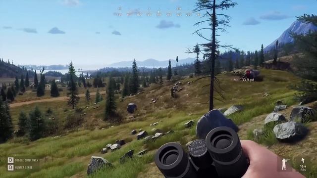 Aurora Shores Release Day Hunt! | Bison, Caribou, Moose & More on Alaska! смотреть онлайн