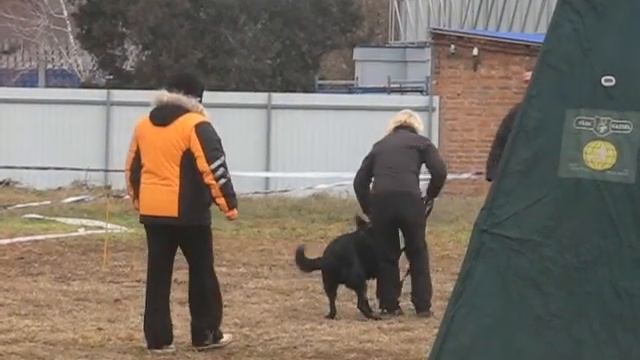 Rantonina Iordan №40 смотреть онлайн