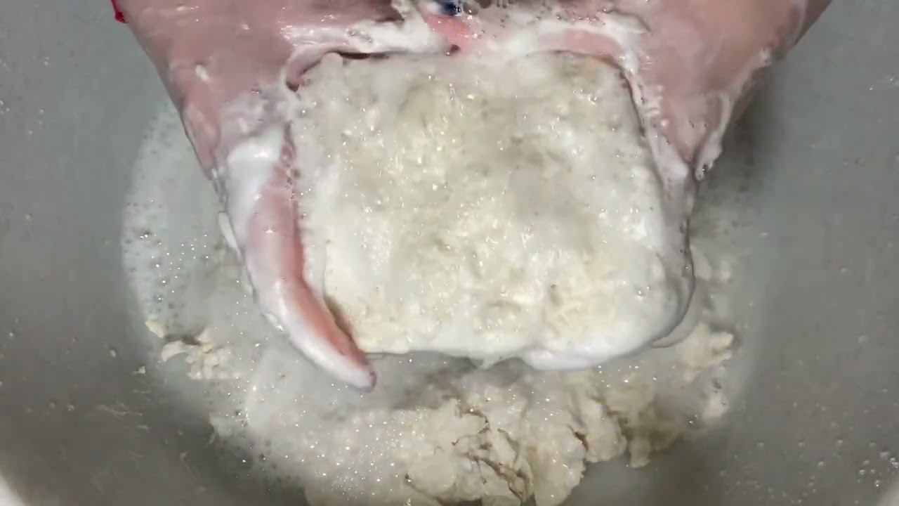 ASMR/soaked Almond Soap