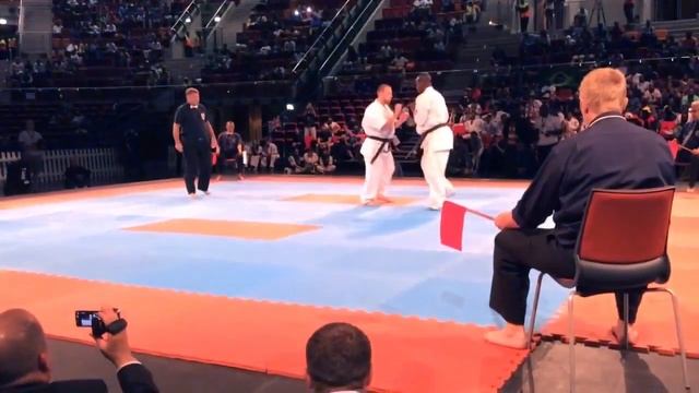 4th World 2014 Tournament Kyokushin Karate FINAL смотреть онлайн