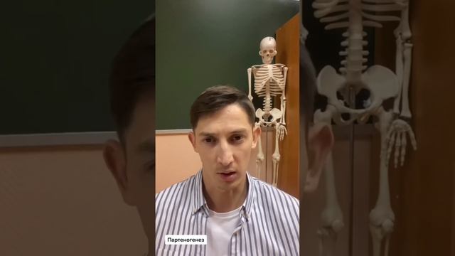 Может ли у курицы появиться цыпленок без петуха? смотреть онлайн