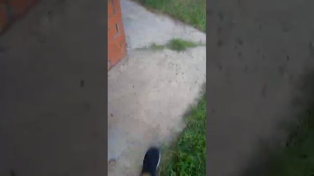 ченю ладу с батей это было довно