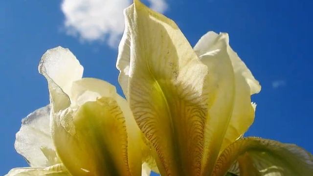 Я нарисую мир таким каким люблю...! 2 смотреть онлайн