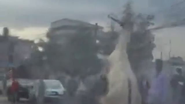 осел дискотека смотреть онлайн