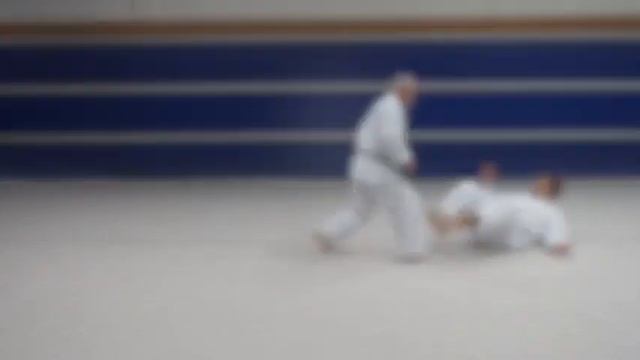Suishu Bunkai