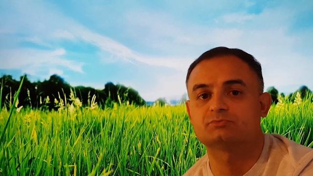 Руководство к Творческой Эффективности