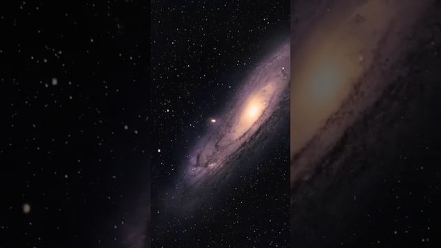 Animated image of the Andromeda galaxy 💫 смотреть онлайн