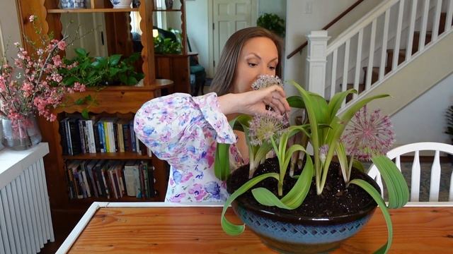 My Experience Forcing Alliums: What Worked, What Failed, and What I Learned //Northlawn Flower Far смотреть онлайн