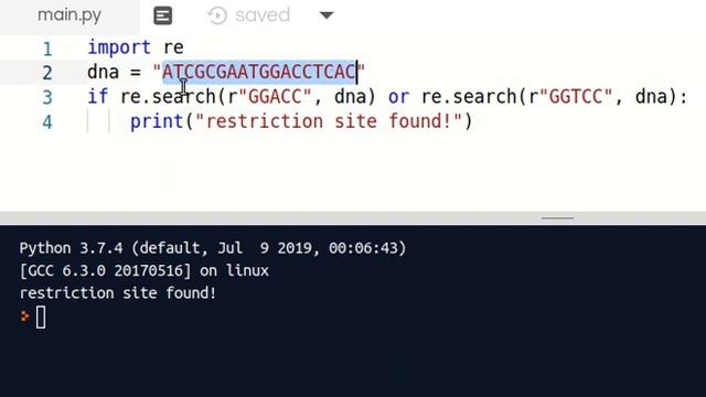 Learn Python Programming 14 - Regular Expressions Part 1 (regex) Bioinformatics Examples too смотреть онлайн