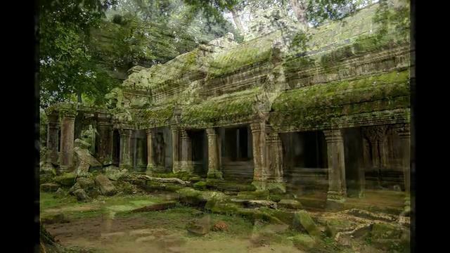 ប្រាសាទតាព្រហ្ម Ta Prohm Temple - Ta Prohm Cambodia | Ta Prohm Videos | Ta Prohm Videos Photos